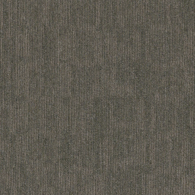 Shaw Knock Out 5th & Main 54957-00300 Triumph 24" X 24" Carpet Tile (80 SF/Box)