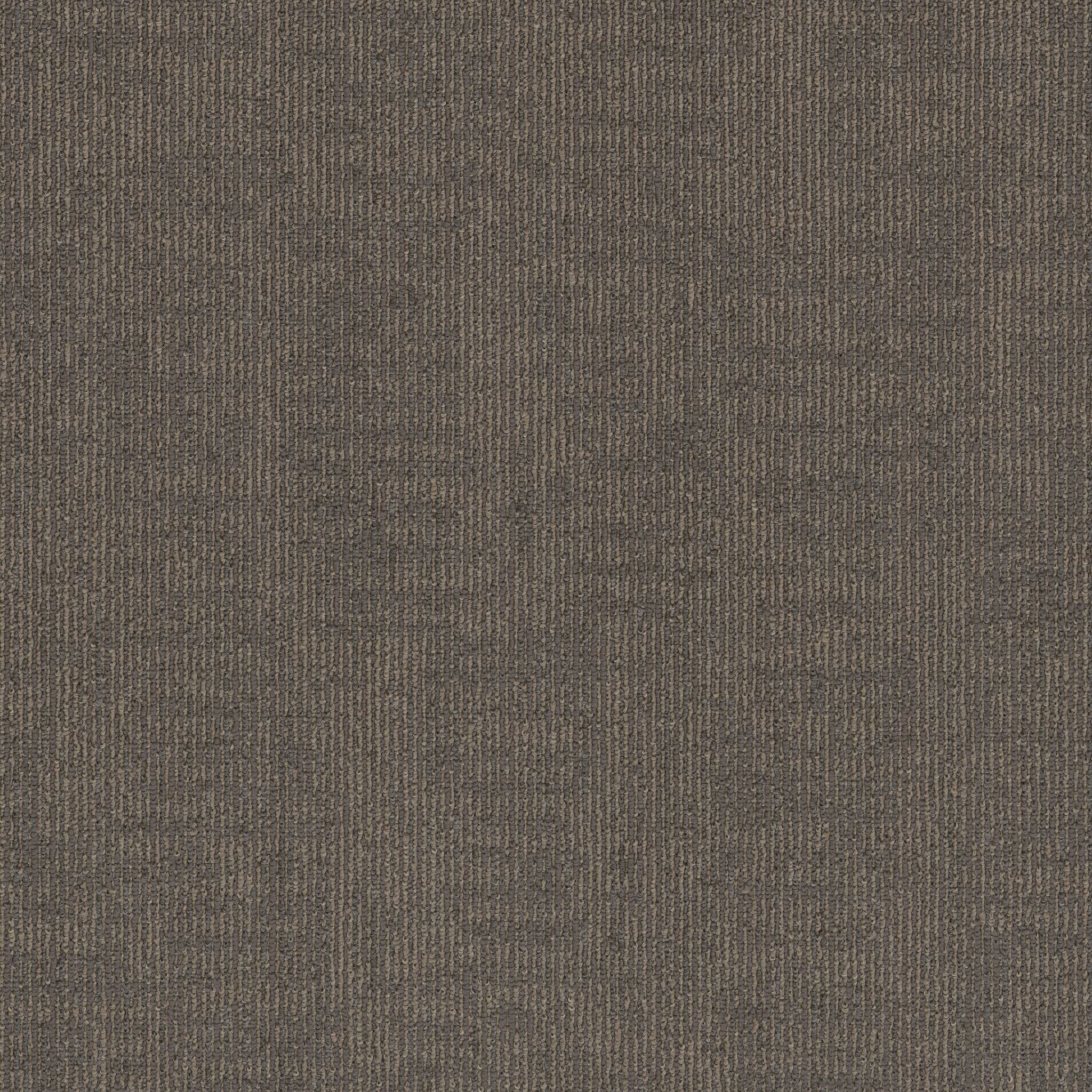 Shaw Authentic 5th & Main 54957-00206 Genuine Carpet Tile