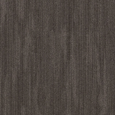 Shaw Primal 5th & Main 54964-00700 Essential 24" X 24" Carpet Tile (80 SF/Box)