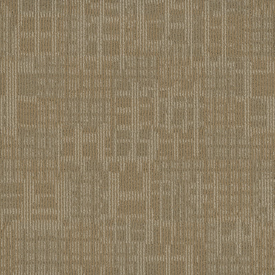 Pentz Carpet Techtonic 7042T-2173 Cache 24" X 24" (72 SF/Box)