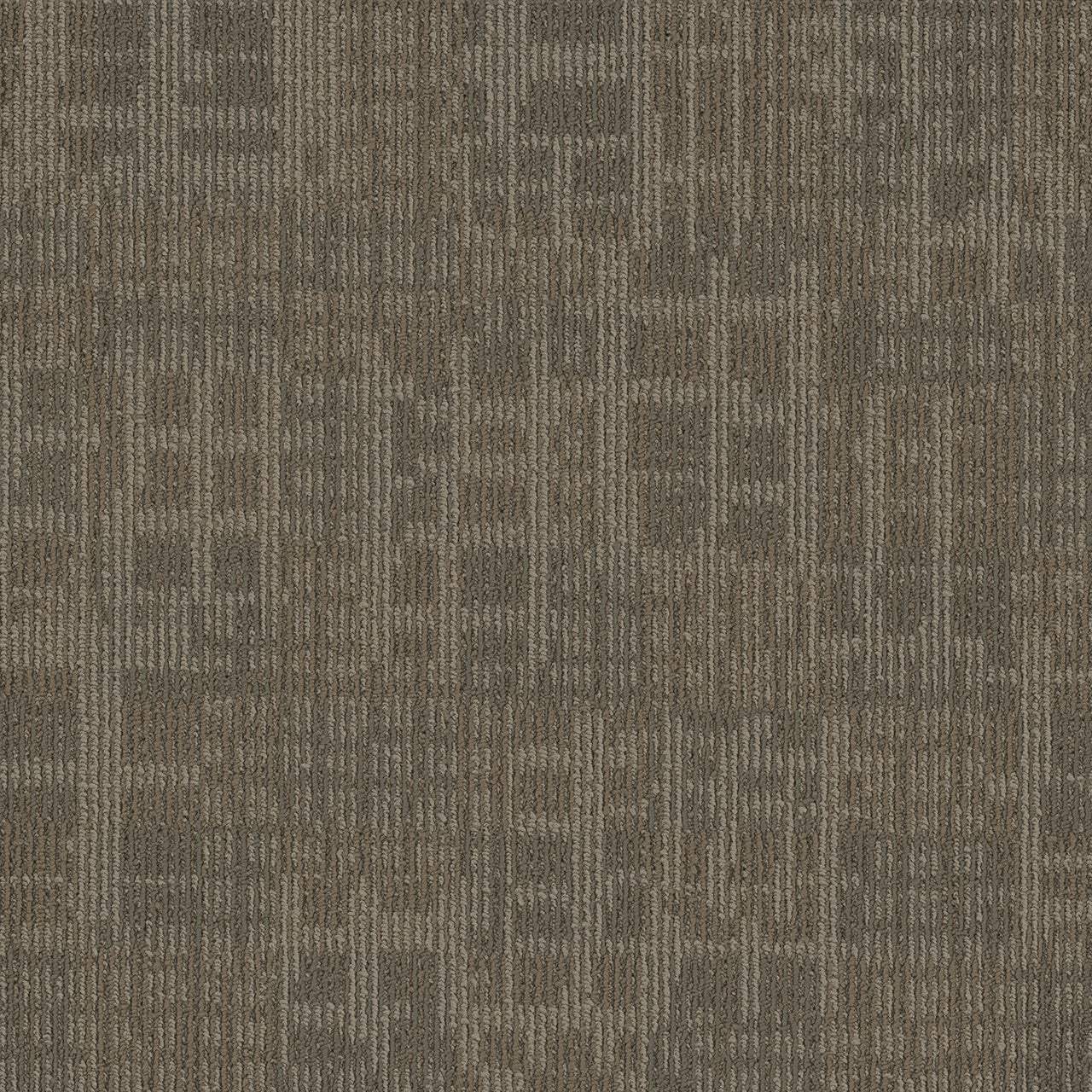 Pentz Carpet Techtonic 7042T-2177 Server 24" X 24"