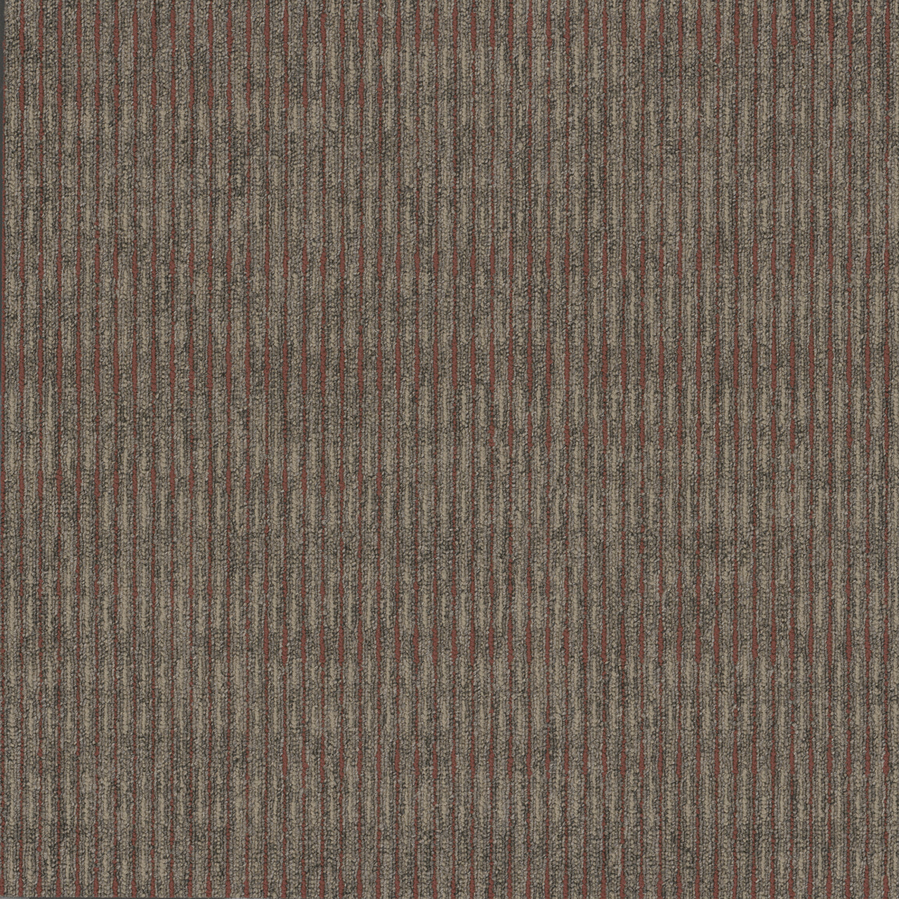 Pentz Carpet Sidewinder 7617T-2765 Paint 24" X 24" (72 SF/Box)