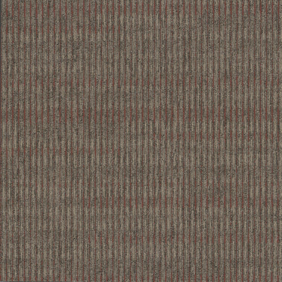 Pentz Carpet Sidewinder 7617T-2765 Indian Paint 24" X 24" (72 SF/Box)