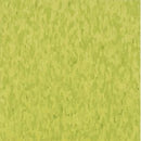 Armstrong 57510 Kickin Kiwi Standard Excelon Imperial Texture Vinyl Composition Tile VCT 12