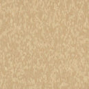 Armstrong 59241 Honey Standard Excelon Imperial Texture Vinyl Composition Tile VCT 12