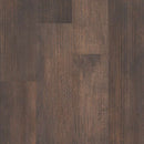 Shaw Symbiotic 12 5M302-05019 Thicket 5.96