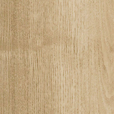 Philadelphia Symbiotic 20 5M303-00173 Sandstone 5.96" X 48" Vinyl Plank (41.72 SF/Box)