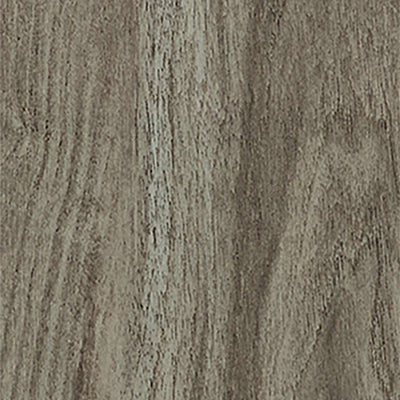 Shaw Symbiotic 20 5M303-00568 Sparrow 5.96" X 48" Vinyl Plank (41.72 SF/Box)