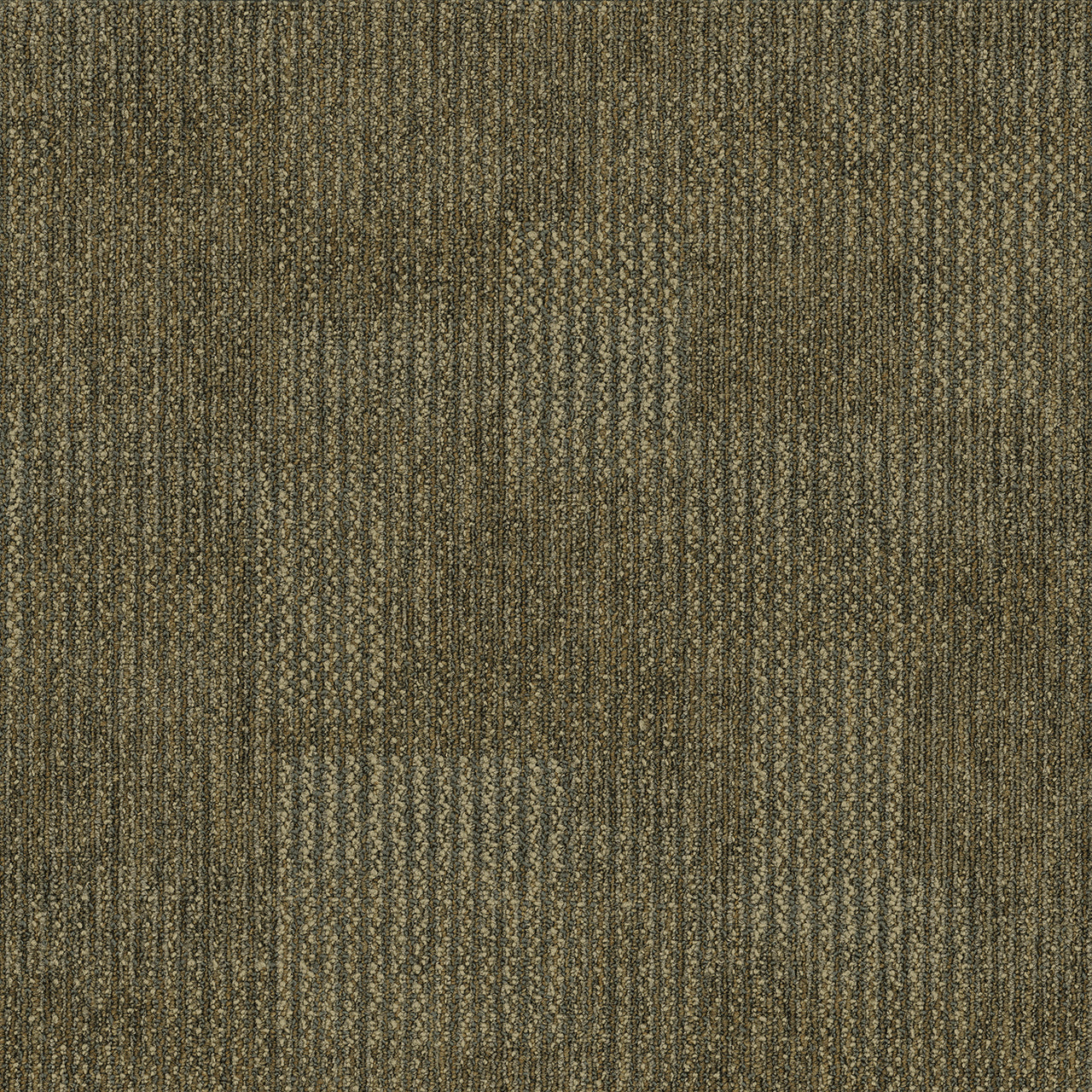 Pentz Carpet Revolution 7044T-1813 Transformation 24" X 24"