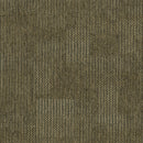 Pentz Carpet Revolution 7044T-1813 Transformation 24