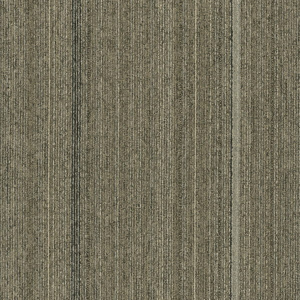 Pentz Carpet Revival - Stimulus 24