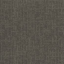 Pentz Carpet Formation 7033T-1879 Organization 24