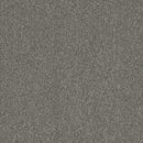 Pentz Carpet Diversified Tile 7037T-2040 Offbeat 24