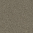 Pentz Carpet Diversified Tile 7037T-2041 Unique 24