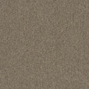 Pentz Carpet Diversified Tile 7037T-2043 Muddled 24