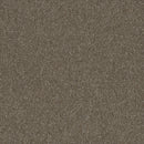 Pentz Carpet Diversified Tile 7037T-2044 Varied 24