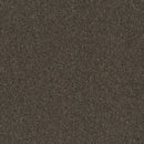 Pentz Carpet Diversified Tile 7037T-2050 Bizarre 24