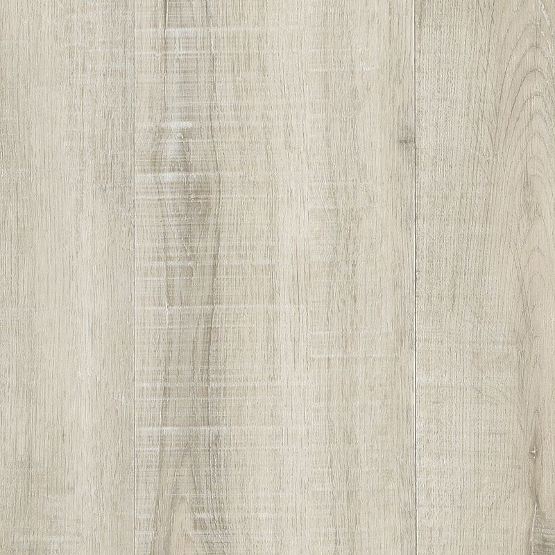 Mohawk SolidTech Select Discovery Ridge DRS21-190 Lamb's Ear (Partial Piece - Sample)
