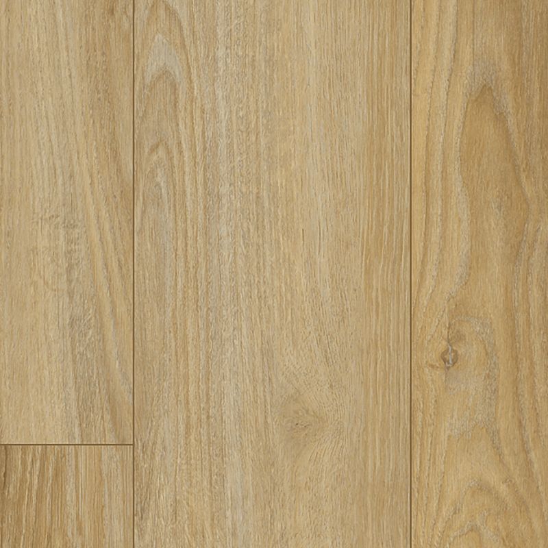 Mohawk SolidTech Select Discovery Ridge DRS21-320 Coffee House Tan (Partial Piece - Sample)