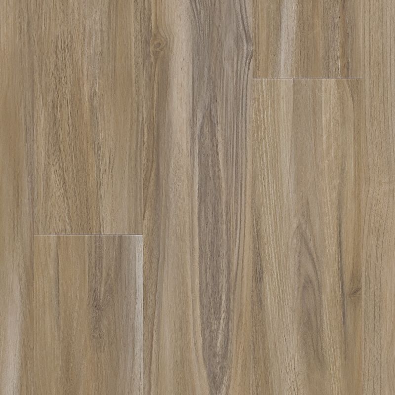 Mohawk SolidTech Select Explorers Cove ECS21-382 Sandy Valley (Partial Piece - Sample)