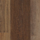 Mohawk SolidTech Select Explorers Cove ECS21-822 Shadow Woodlands (Partial Piece - Sample)