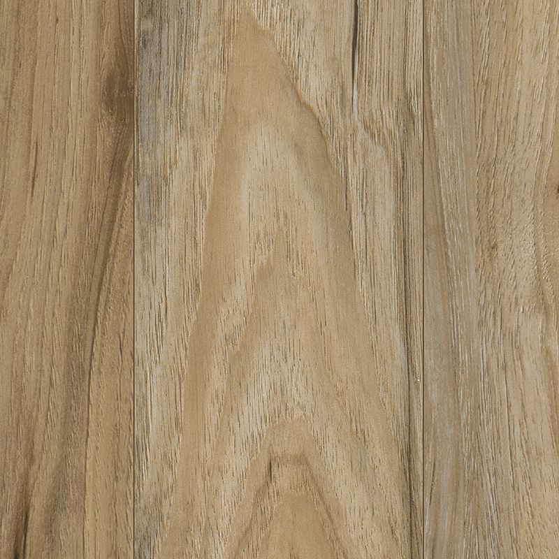 Mohawk SolidTech Select Founders Trace FTS21-849 Amber Shade (Partial Piece - Sample)
