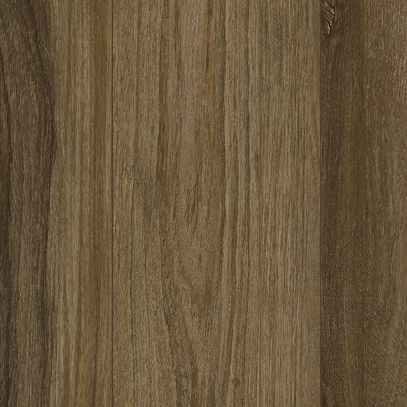Pergo Extreme Preferred Wood Originals PT009-465 Caffeine Boost 9" x 60" Luxury Vinyl Plank