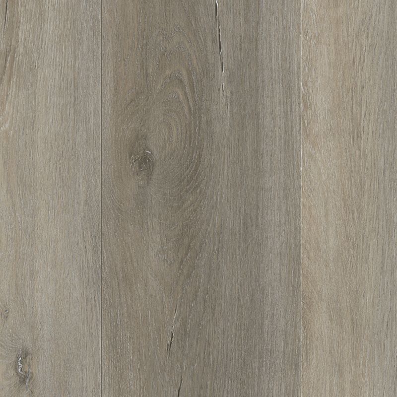 Pergo Extreme Preferred Wood Originals 5 O'clock Tea (Partial Piece - Sample)