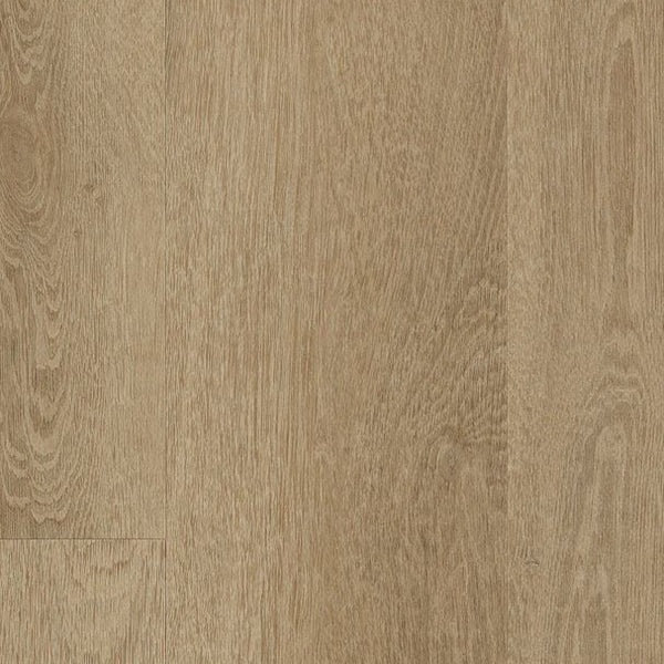 ハヤテ Mohawk Batavia II Plus Driftwood 6