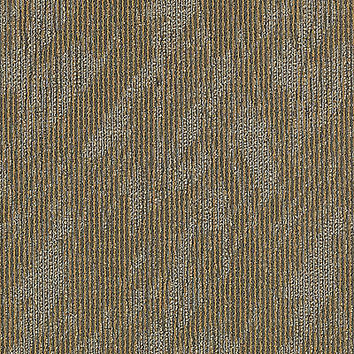 Aladdin Total Visual Carpet Tile 2B59-841 Completely Intuitive 24" x 24"