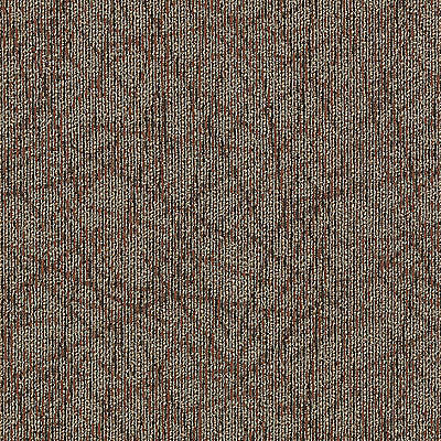 Aladdin Brilliantly Amazed Carpet Tile 2B60-869 Instant Inspiration 24" x 24"