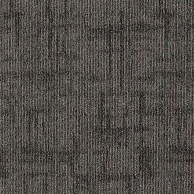 Aladdin Captured Idea Carpet Tile QA202-979 Seal 24" x 24"