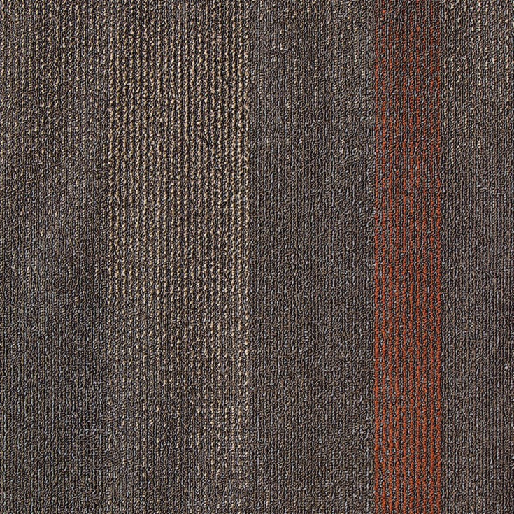 Next Floor Commercial Carpet Tile - Muir Woods 006