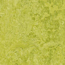 Forbo Marmoleum Click Cinch LOC Seal 933224 Chartreuse 12