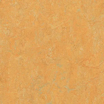 Forbo MCS 2.0 3847 Golden Saffron Linoleum Sheet (79" Width)