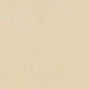 Forbo MCS 2.0 3858 Barbados Linoleum Sheet (79