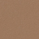 Forbo Bulletin Board Linoleum 2166 Nutmeg Spice Linoleum Sheet (72