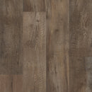 Bella Cera Solution Core Origin FH785741 Chestnut 7