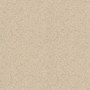 Armstrong Premium Excelon Stonetex 52143 Sandstone Tan 12