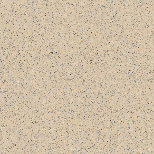 Armstrong Premium Excelon Stonetex 52143 Sandstone Tan 12