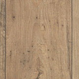 Fawn Chestnut