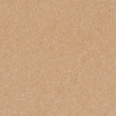 Armstrong Premium Excelon Crown Texture 5C805 Camel Beige 12