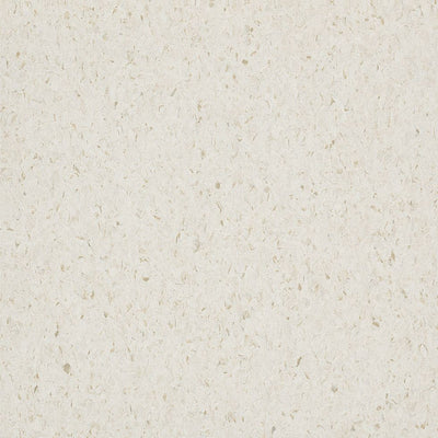 Armstrong Premium Excelon Crown Texture 5C899 Cool White 12" x 12" VCT Tile (45 SF/Box)