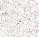 Forbo Ec 250201 Everest (Partial Piece - Sample)