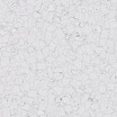 Forbo Colorex EC 250204 Montblanc 24.2