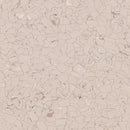Forbo Colorex EC 250213 Sahara 24.2