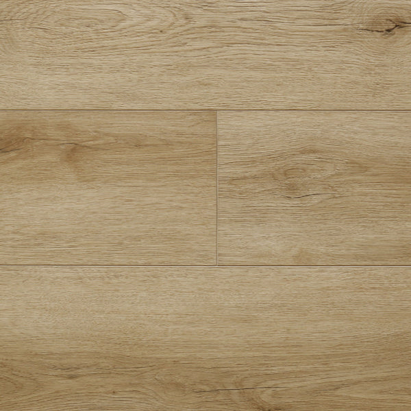 るいワールド EWH-5619-