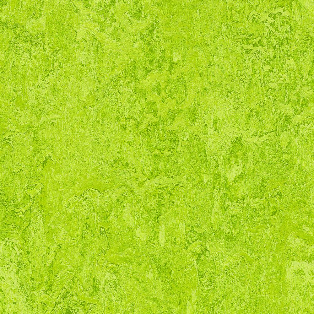 Forbo Chartreuse Marmoleum Click Cinch Loc Panel (Partial Piece - Sample)