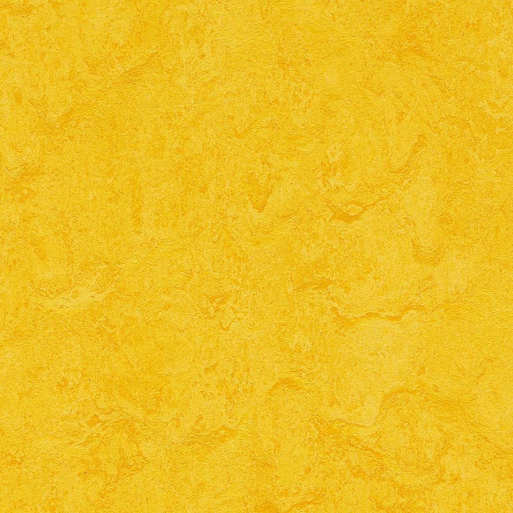 Forbo Lemon Zest Marmoleum Click Cinch Loc Panel (Partial Piece - Sample)