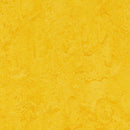 Forbo Lemon Zest Marmoleum Click Cinch Loc Panel (Partial Piece - Sample)
